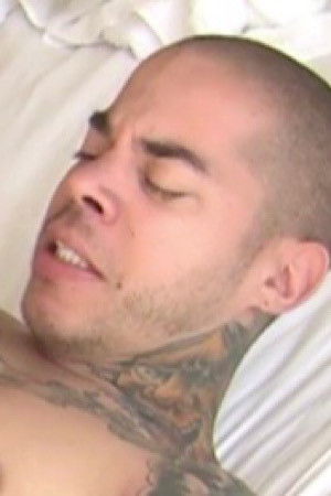 et billede af Raphael