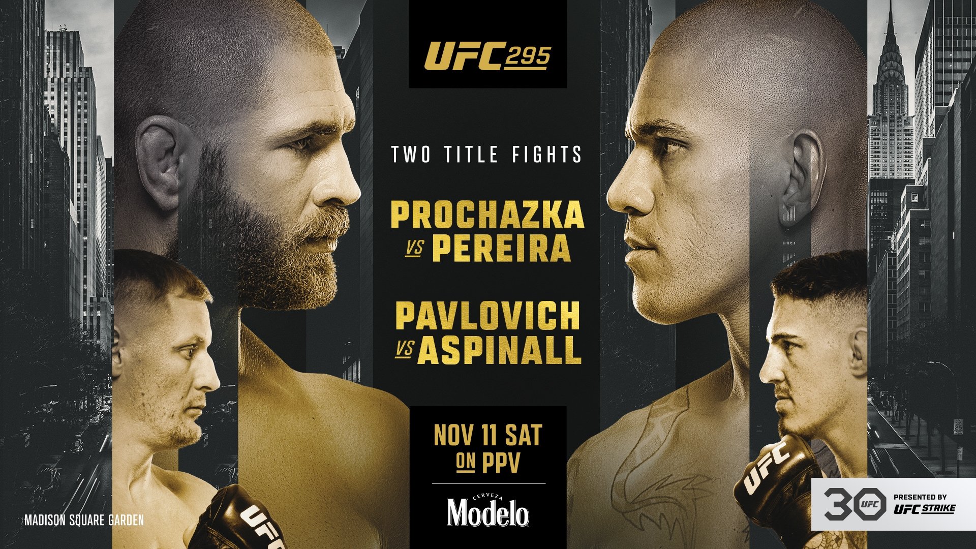 UFC 295: Prochazka vs. Pereira (2023)