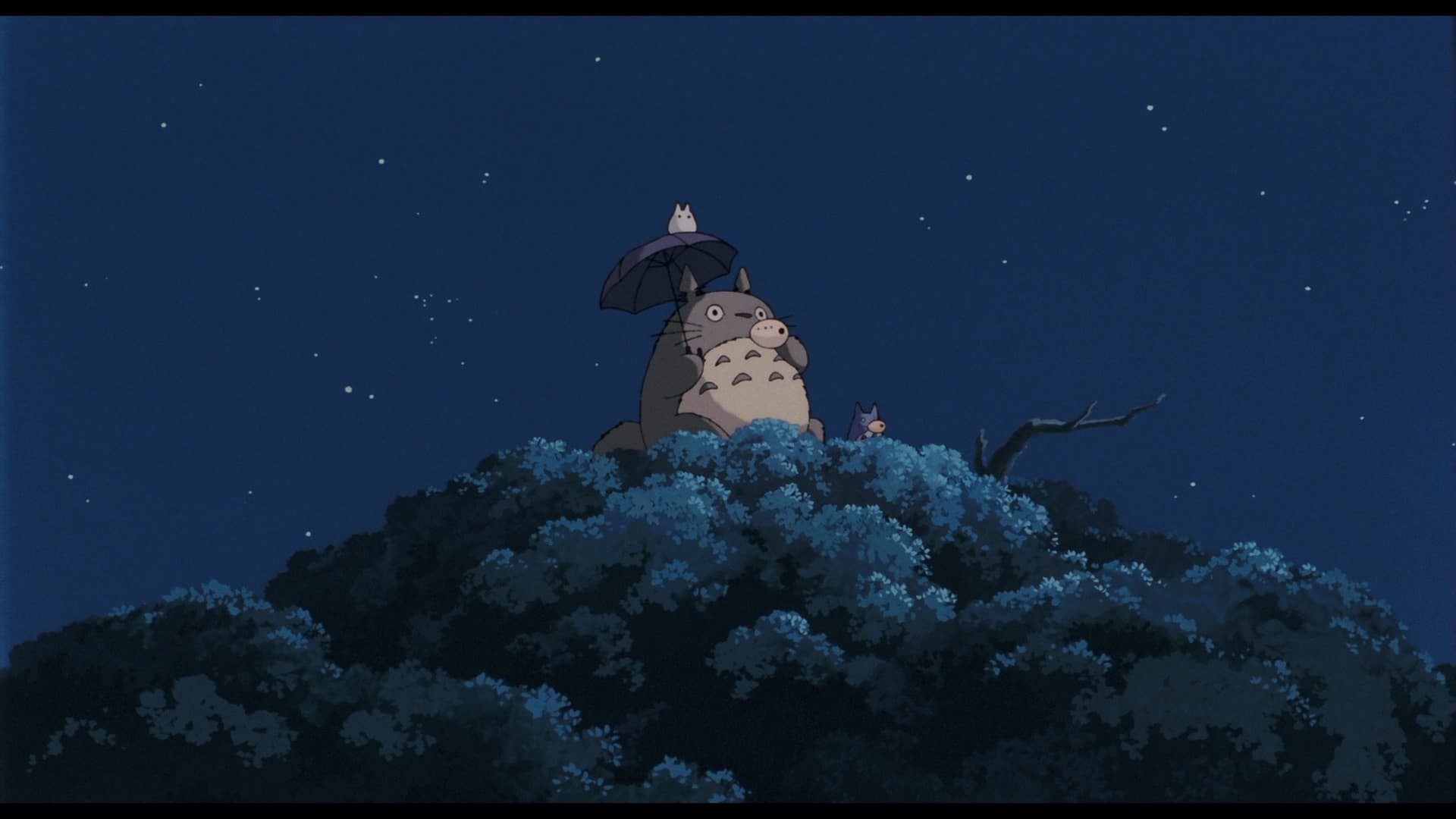 Naapurini Totoro