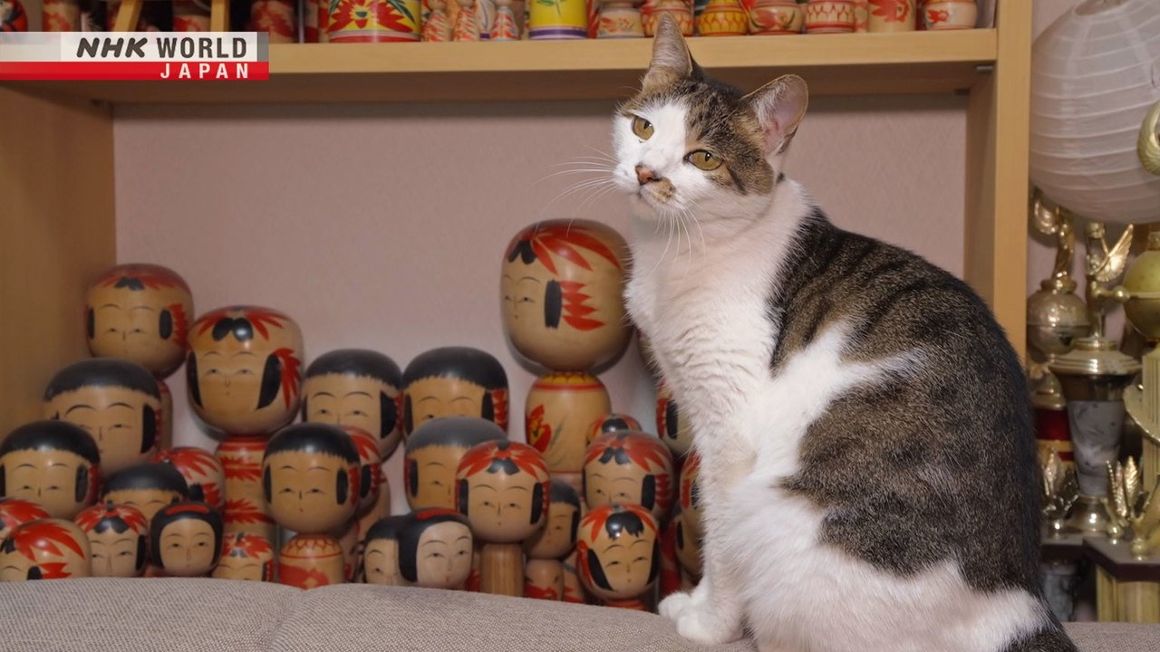 A Cat's-Eye View of Japan - Épisode 21