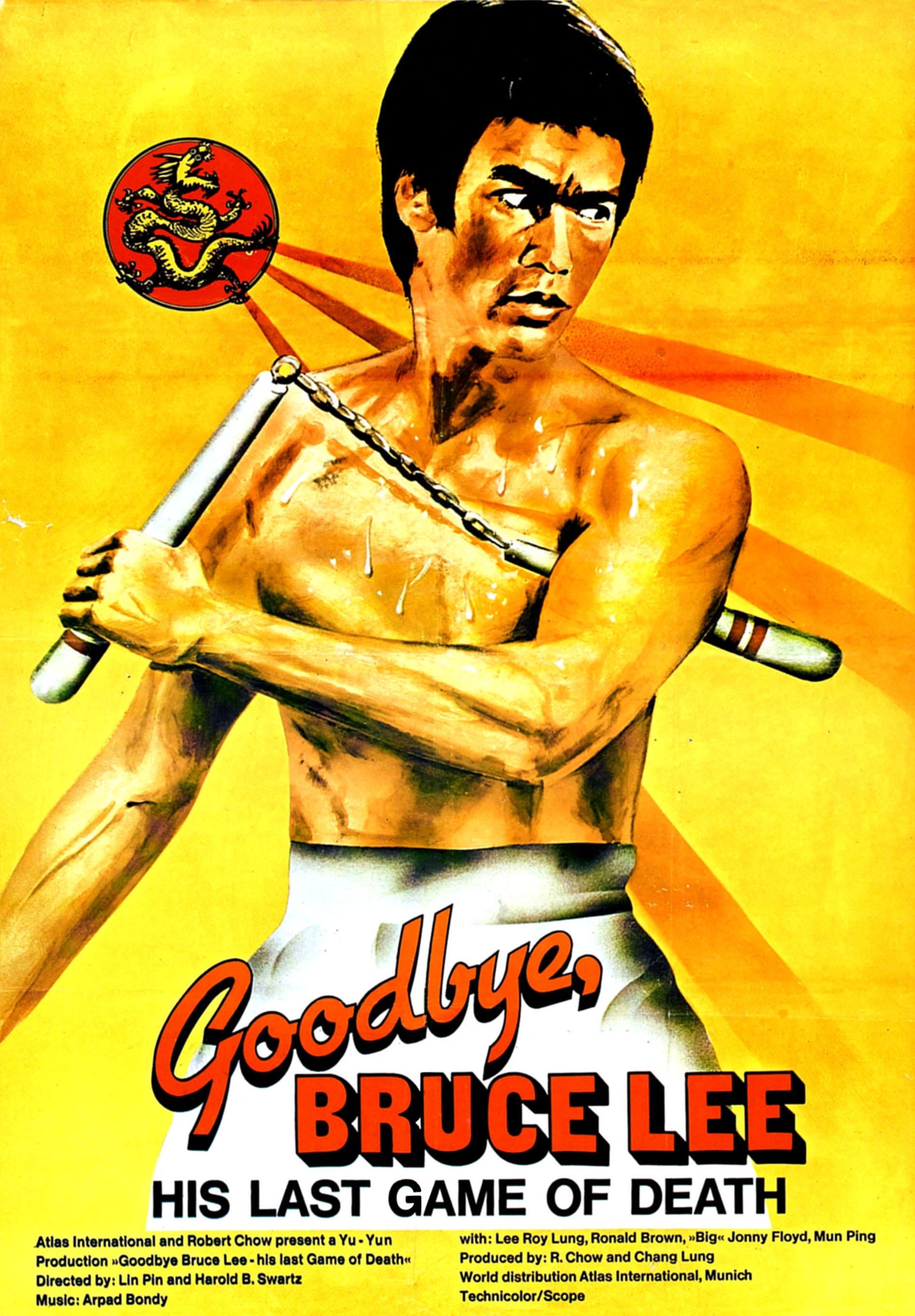 Goodbye Bruce Lee: His Last Game of Death