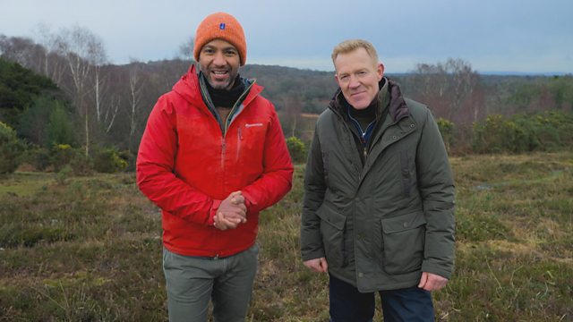 Countryfile 38x4