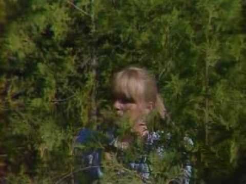The Littlest Hobo