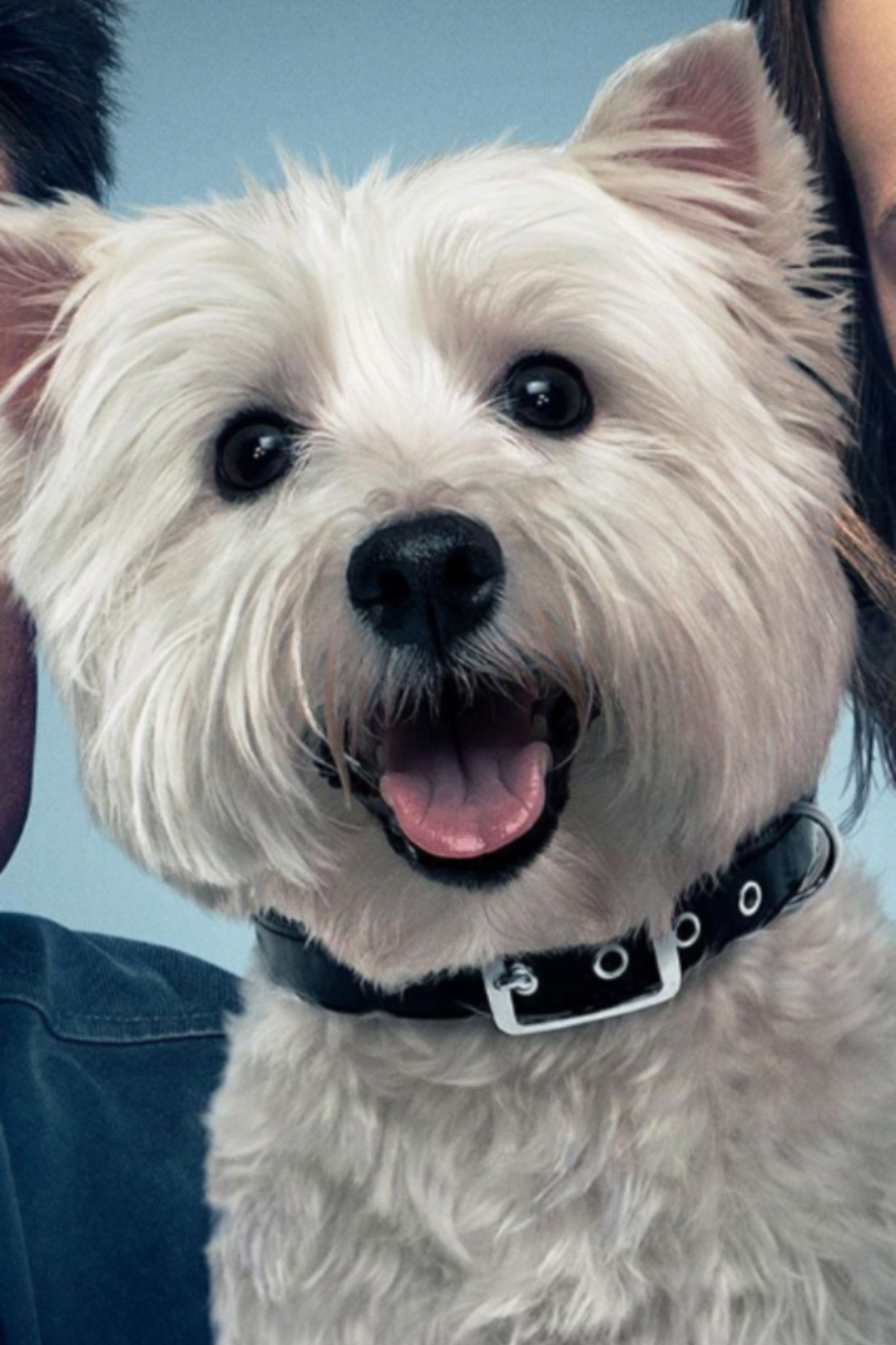 et billede af Olivia