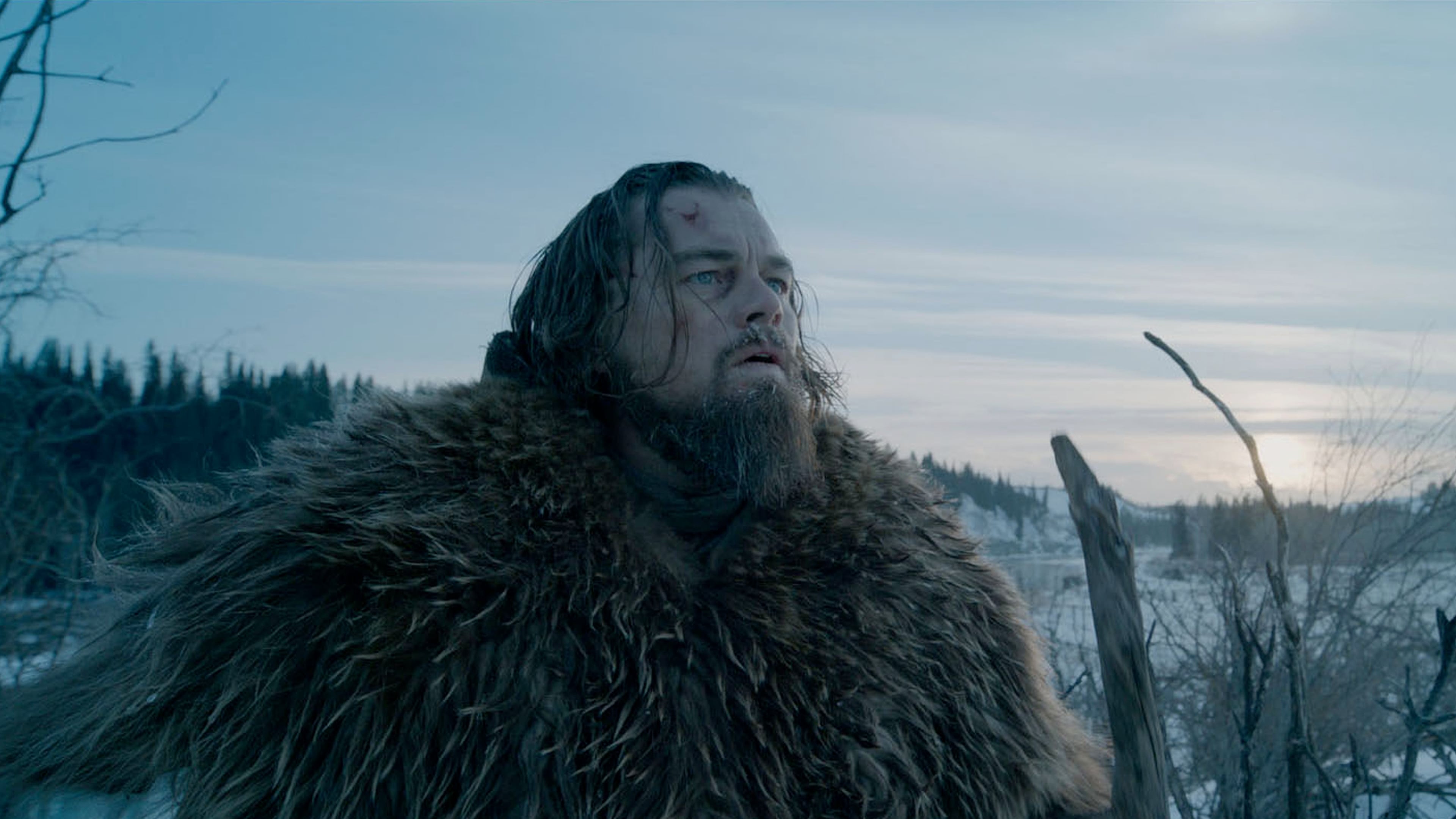 The Revenant – Der Rückkehrer, Bildquelle: themoviedb.org