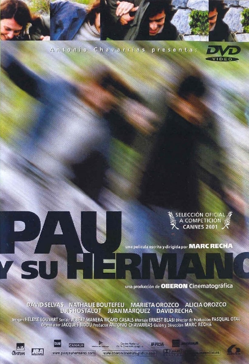 Affiche du film Pau et son frère 12370