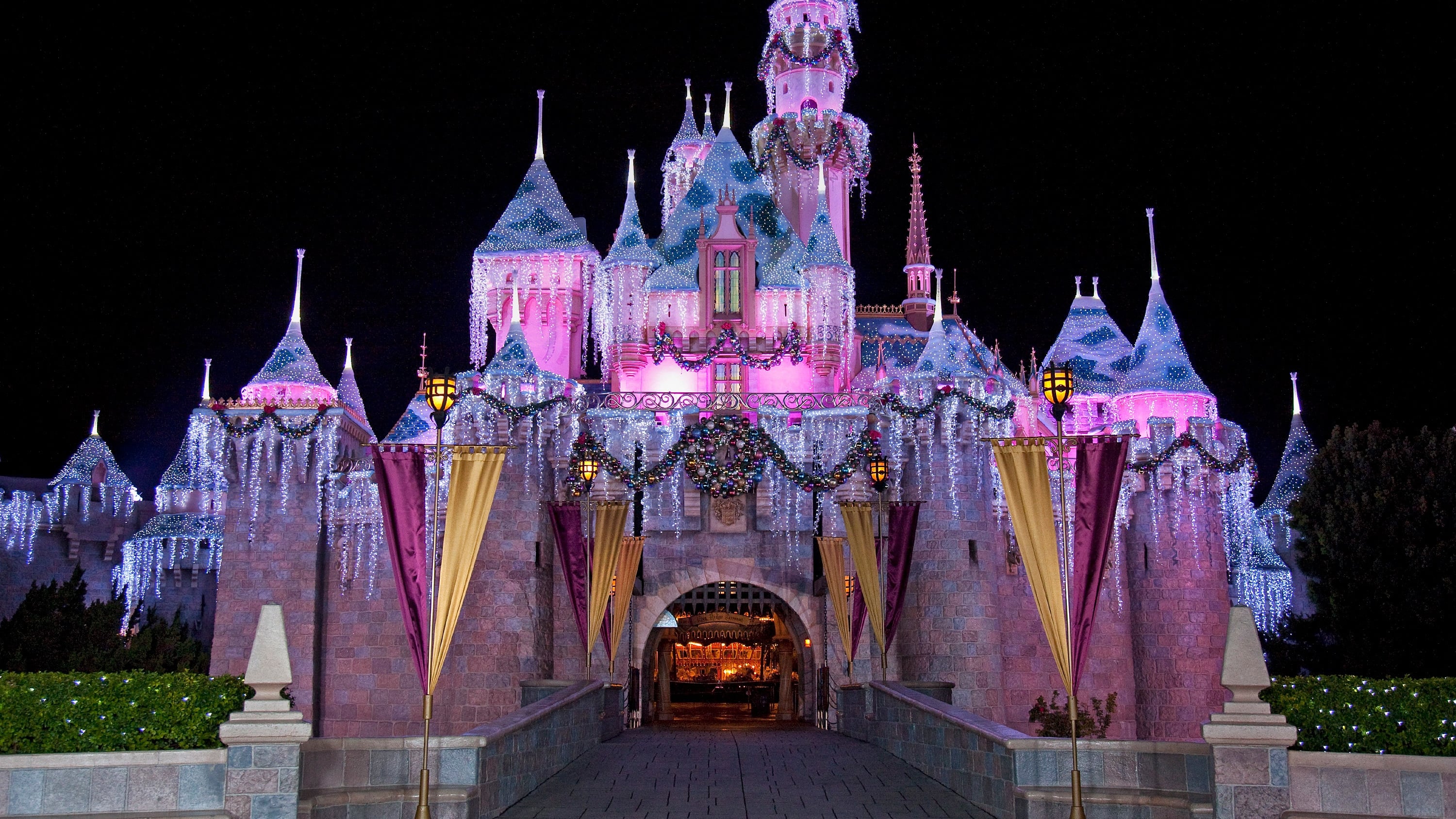 The Wonderful World of Disney: Magical Holiday Celebration (2016)