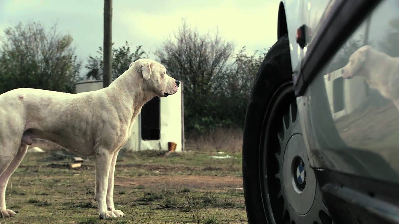 The Lord's Ride (2010)