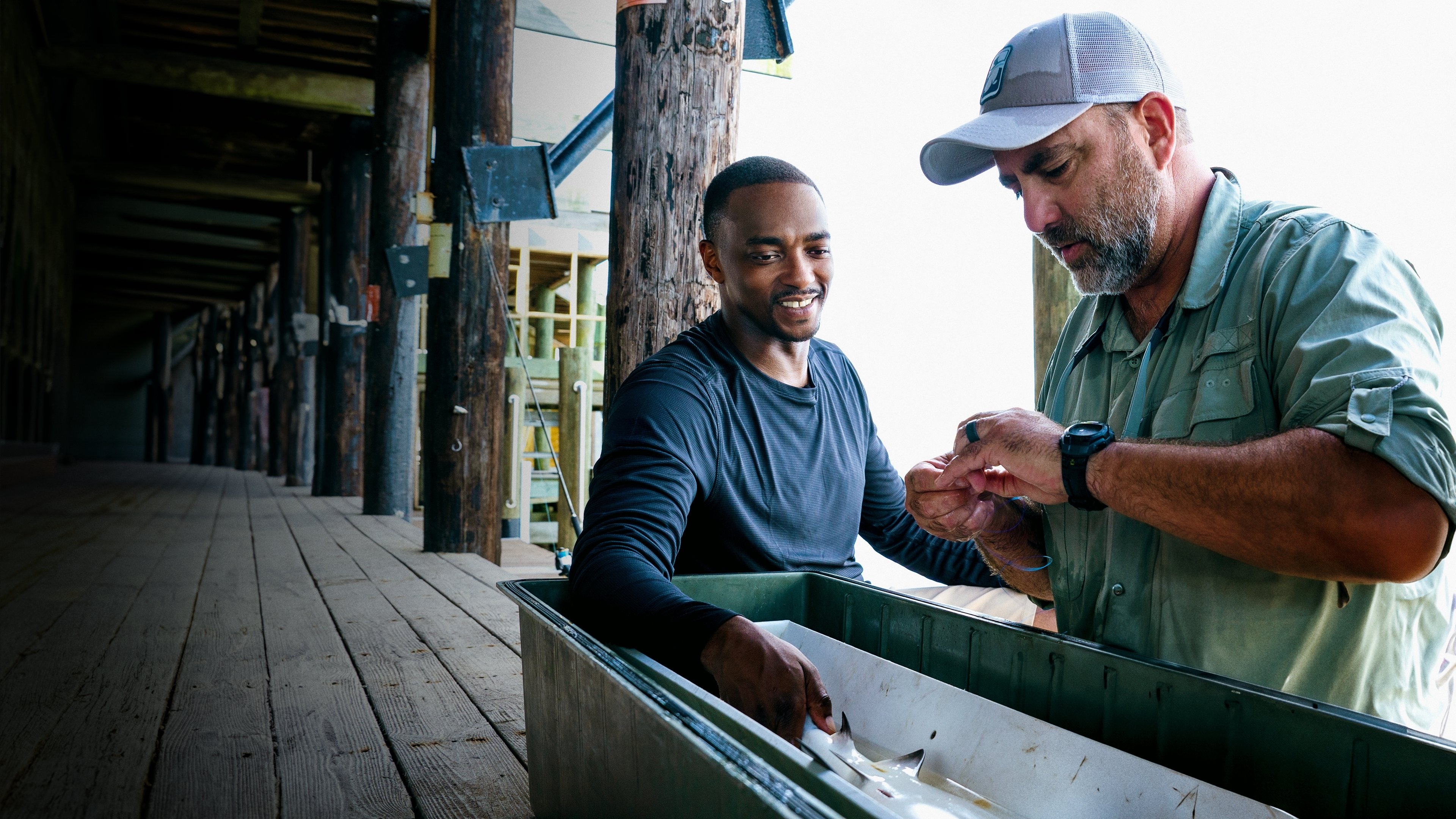 Shark Beach with Anthony Mackie (2024)