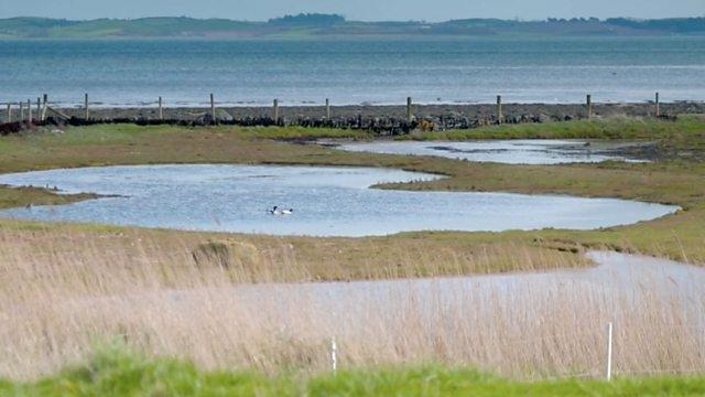 Countryfile 35x17