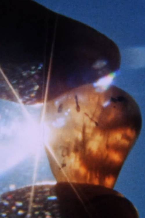 Xanat - A flornographic movie