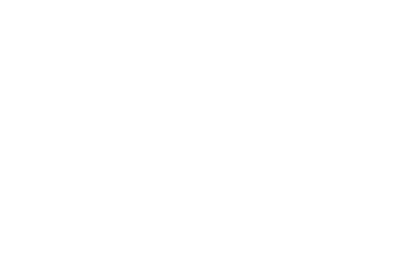 The Mirror Has Two Faces