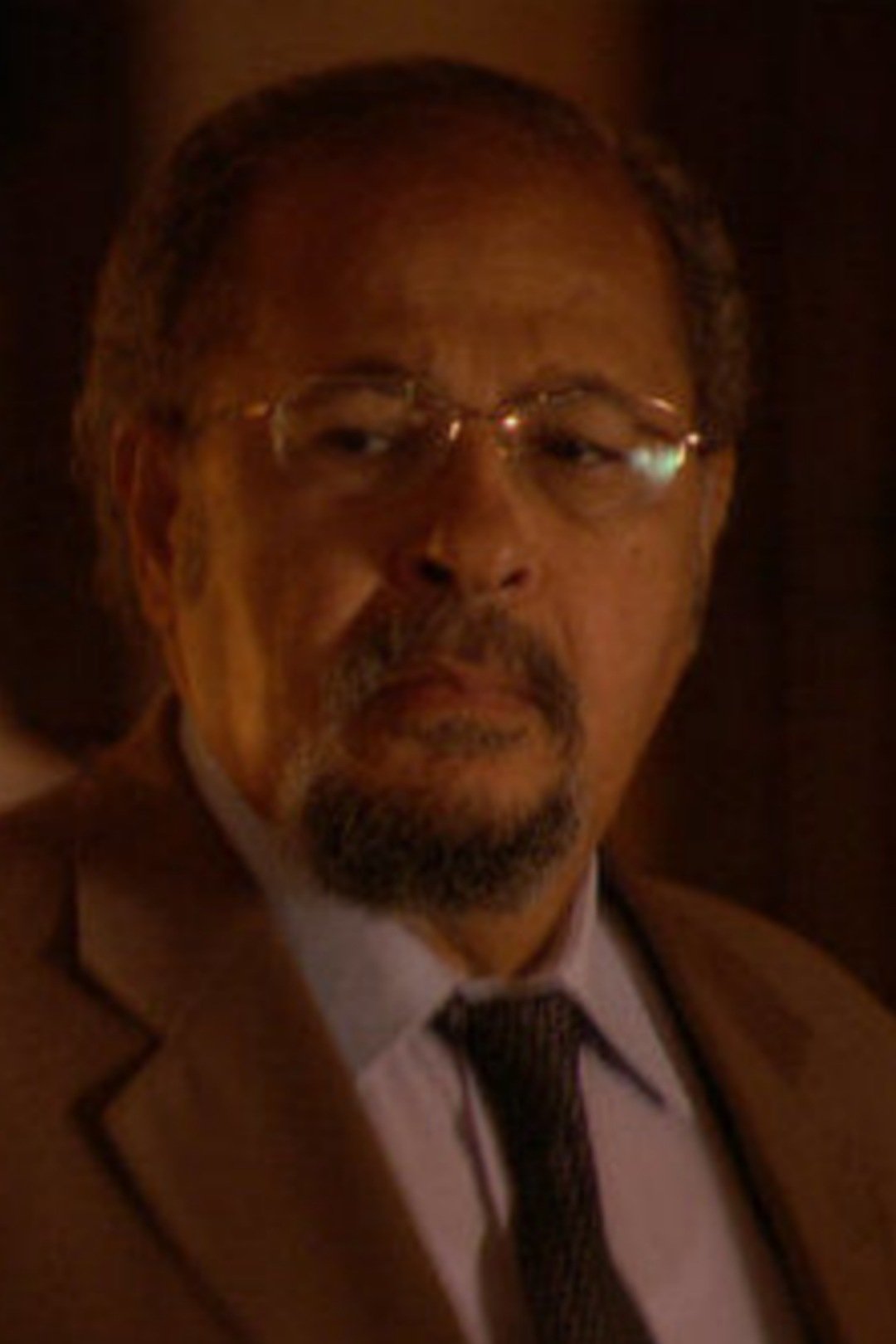 et billede af Hanaa Abdel Fattah