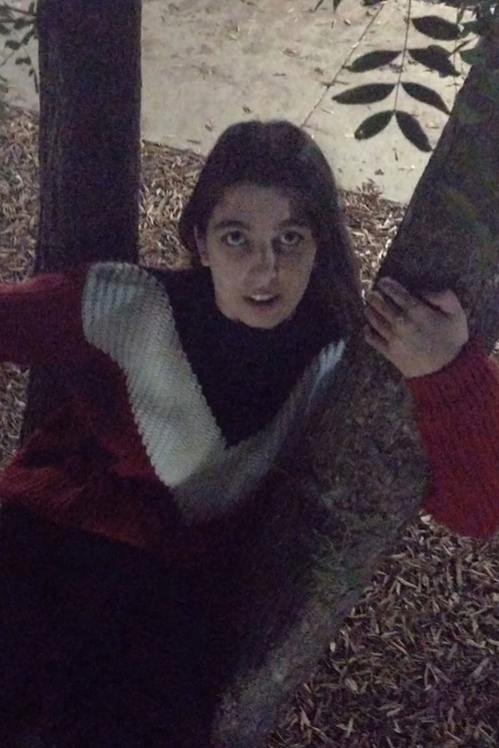 et billede af Raven Bowie