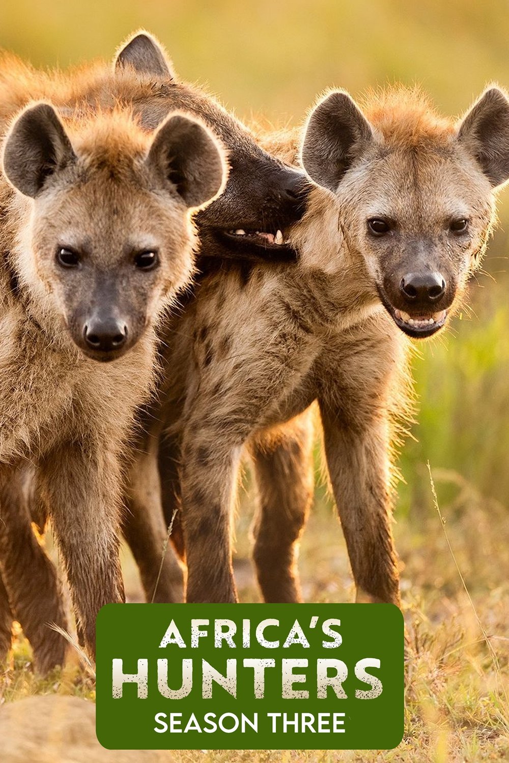 Africa's Hunters - Season 3