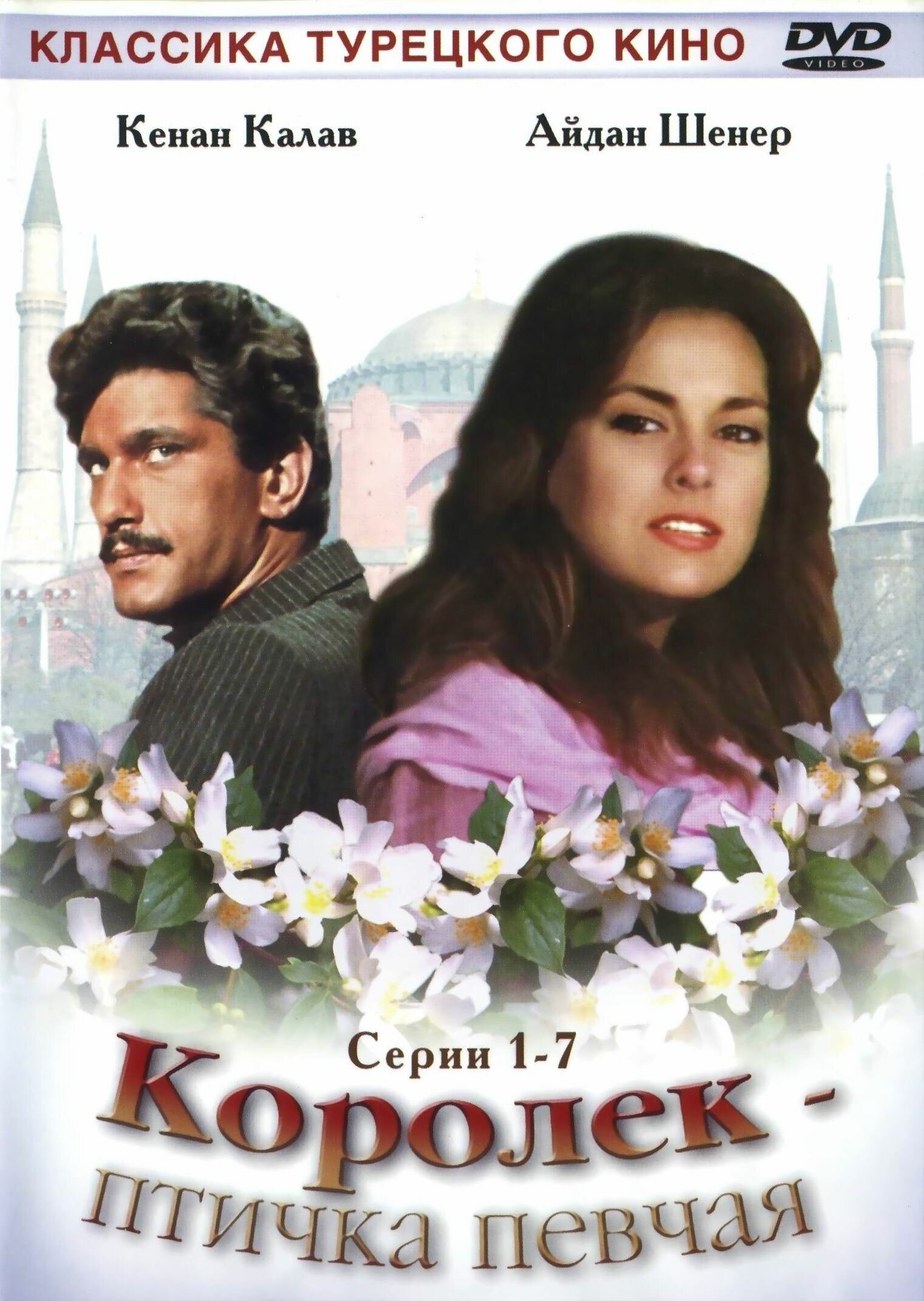 Королек - птичка певчая Королек - птичка певчая