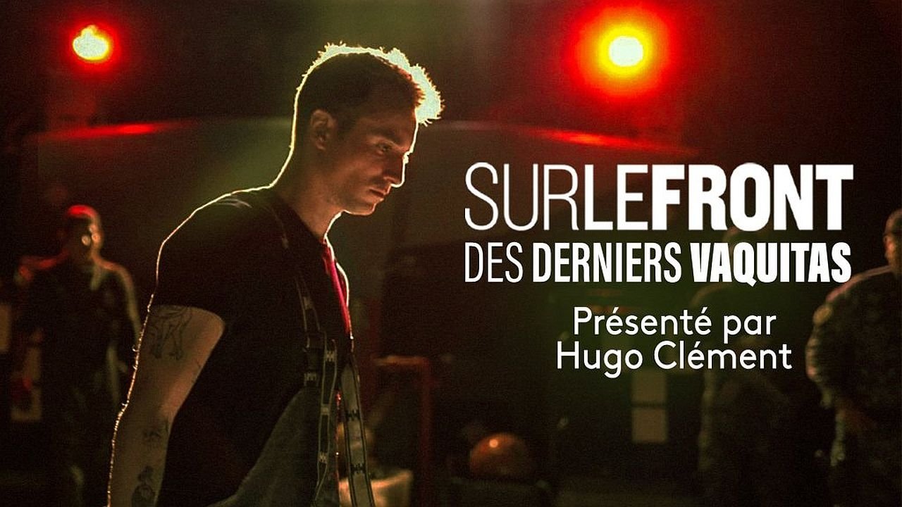 Sur le front - Des derniers Vaquitas