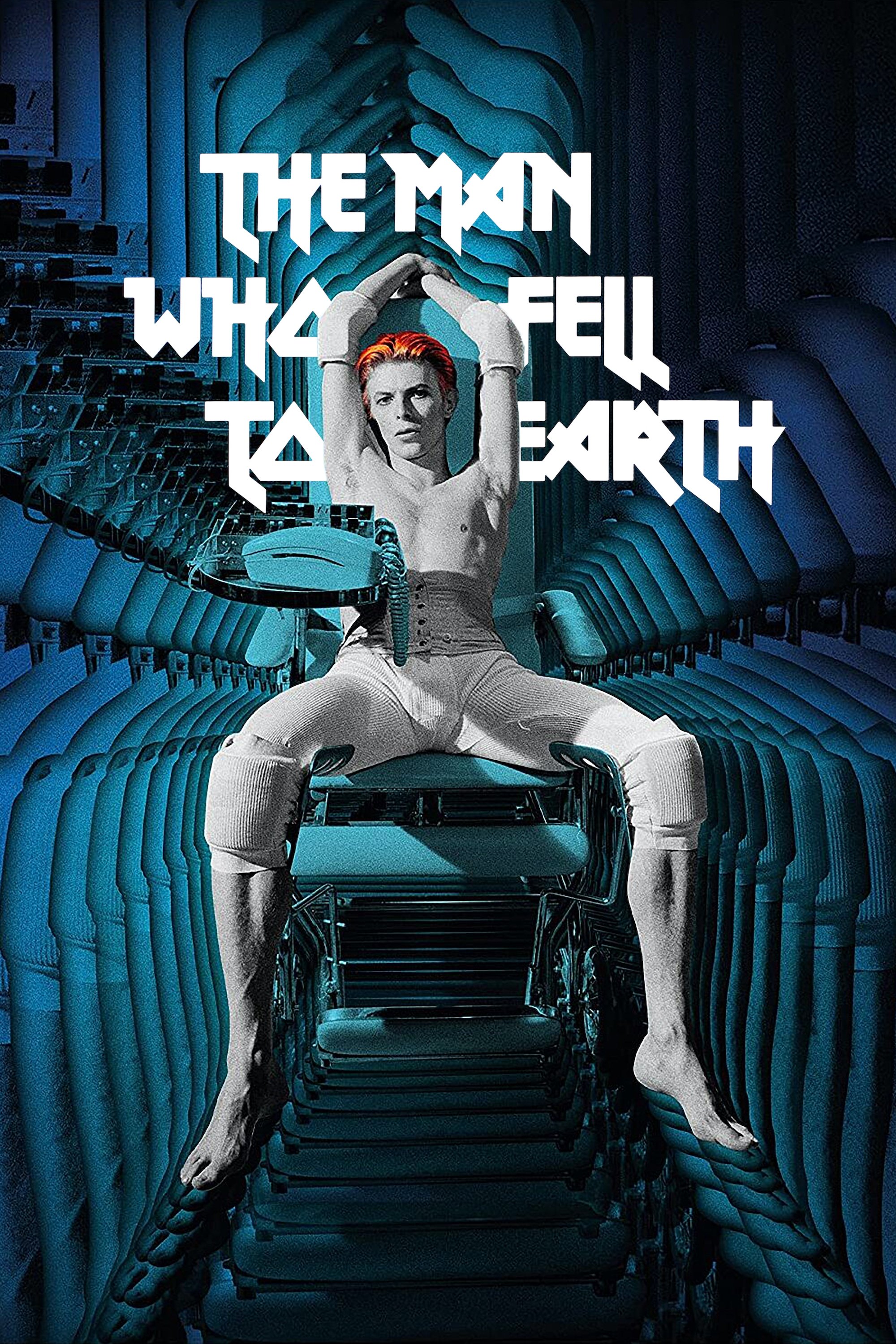 The Man Who Fell to Earth