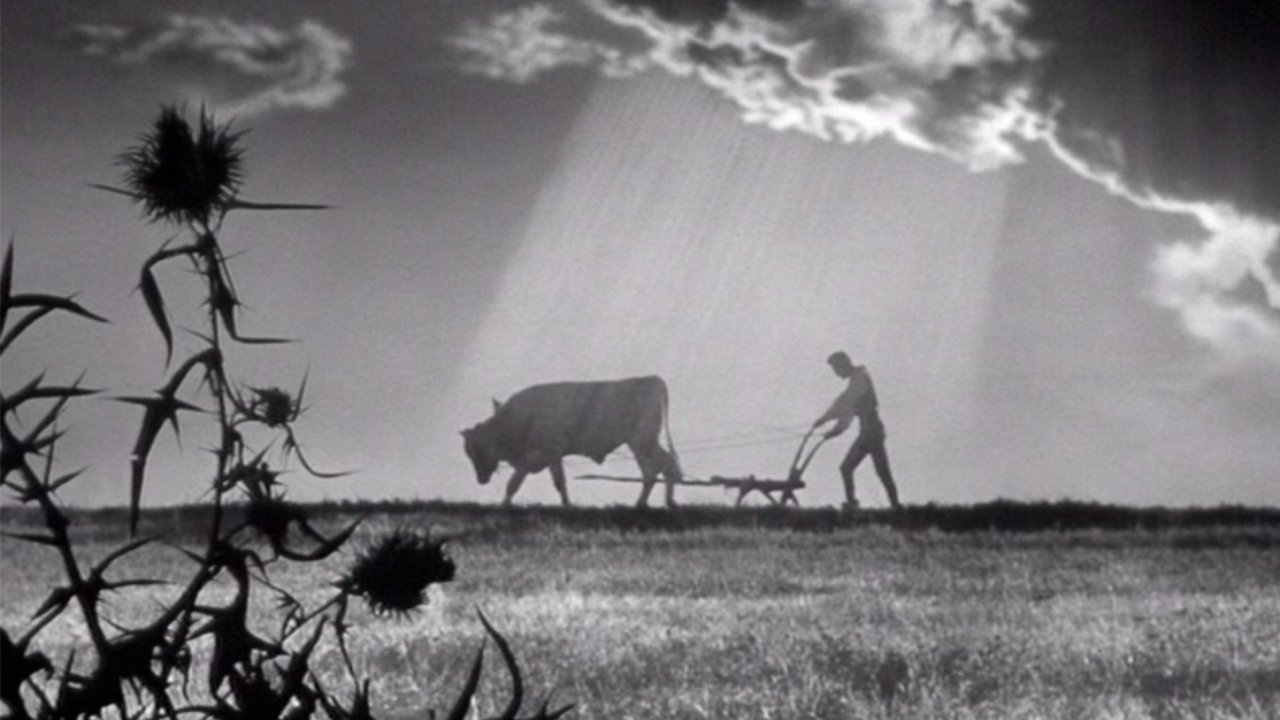 The Jester's Tale (1964)