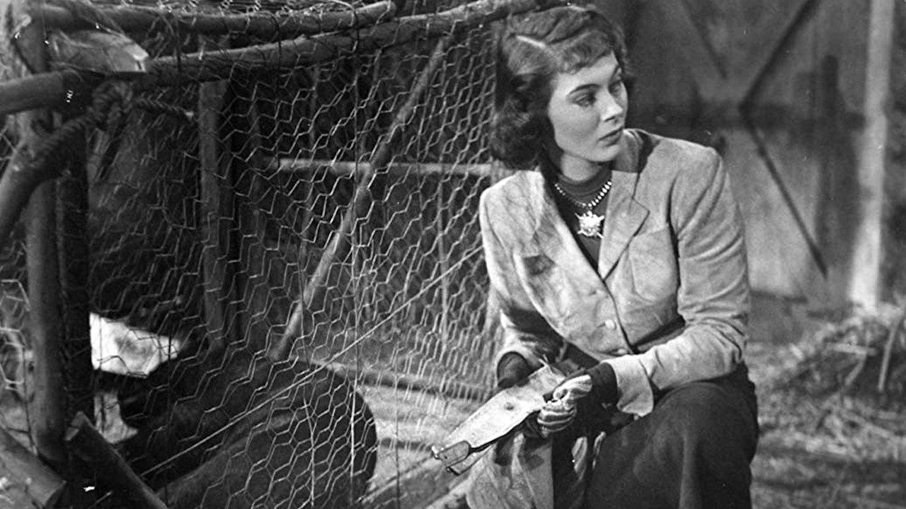 Spy Hunt (1950)