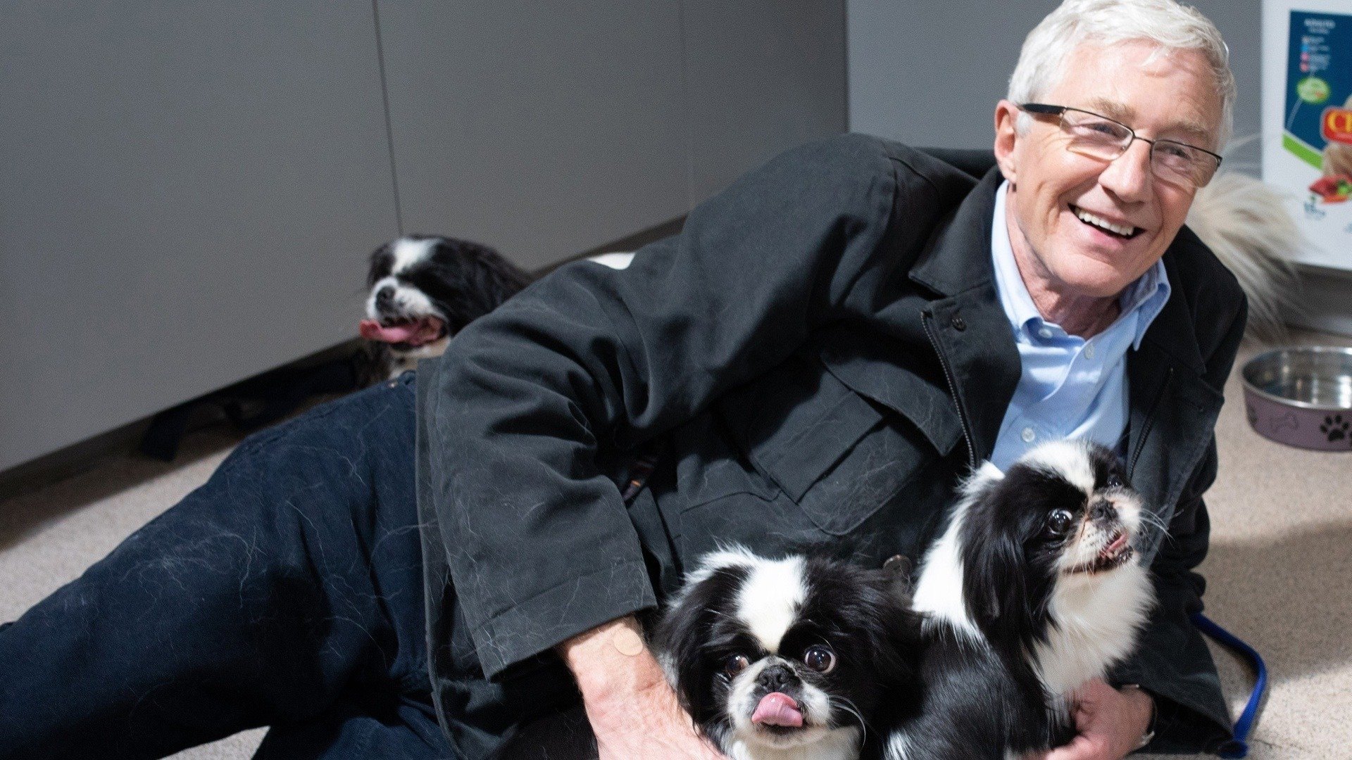 Paul O'Grady, pour l'amour des chiens - Épisode 7