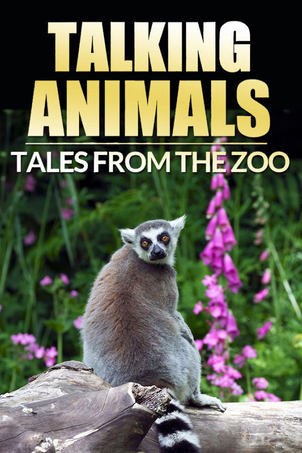 Tales from the Zoo: Talking Animals Poster