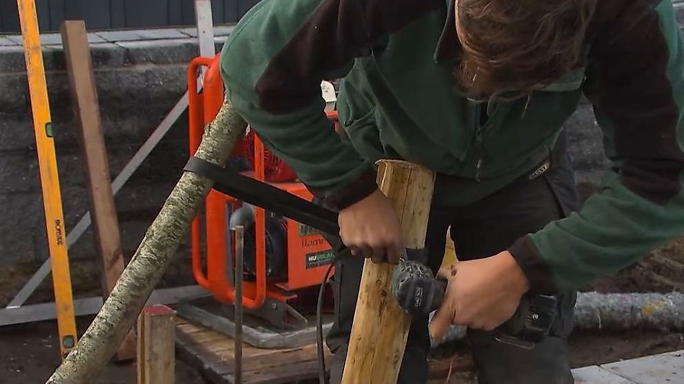 Thumbnail for Episode 60 Season 1 Episode 60