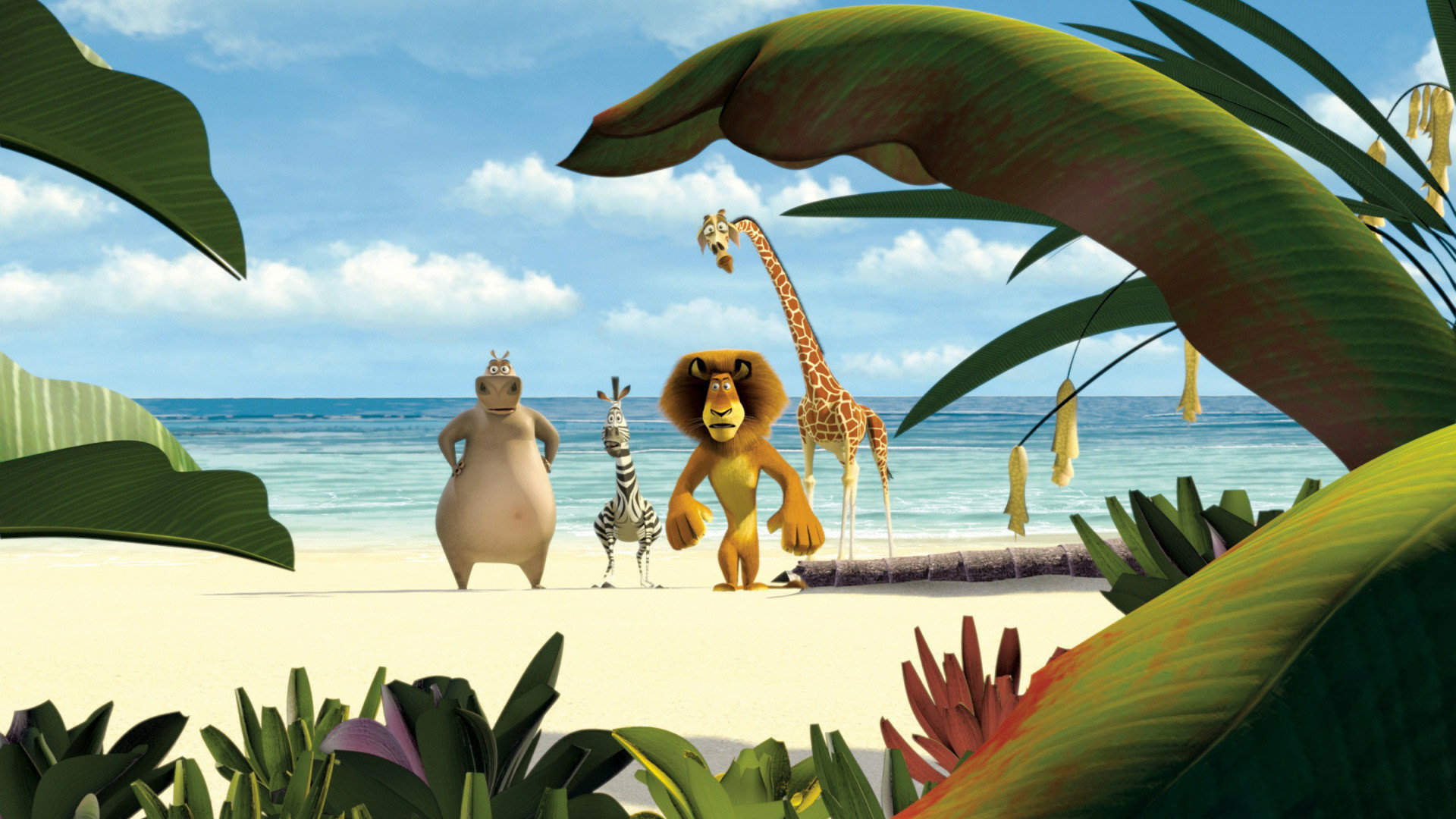 Media Madagascar Film 2005 