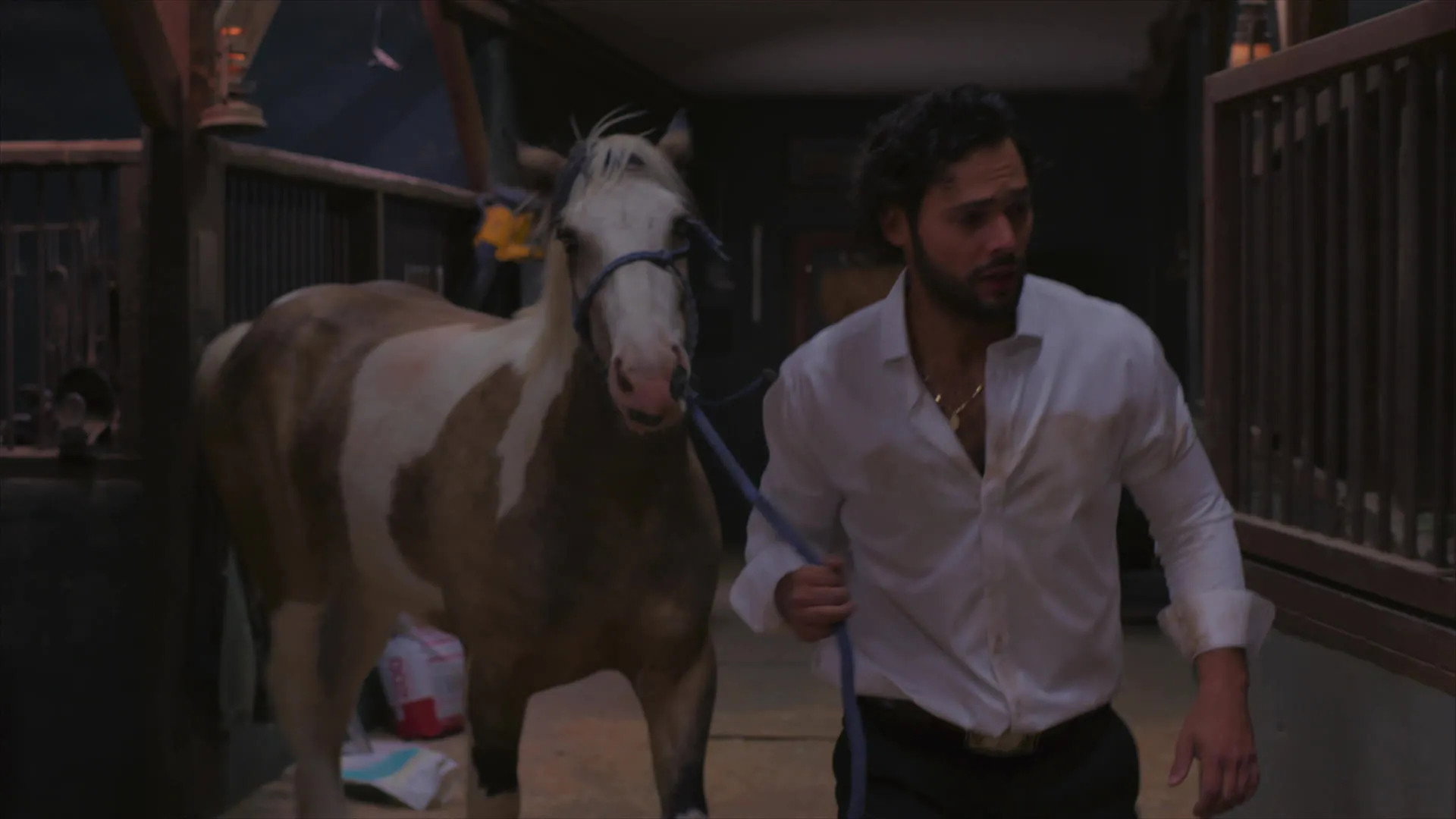 Episode 4
