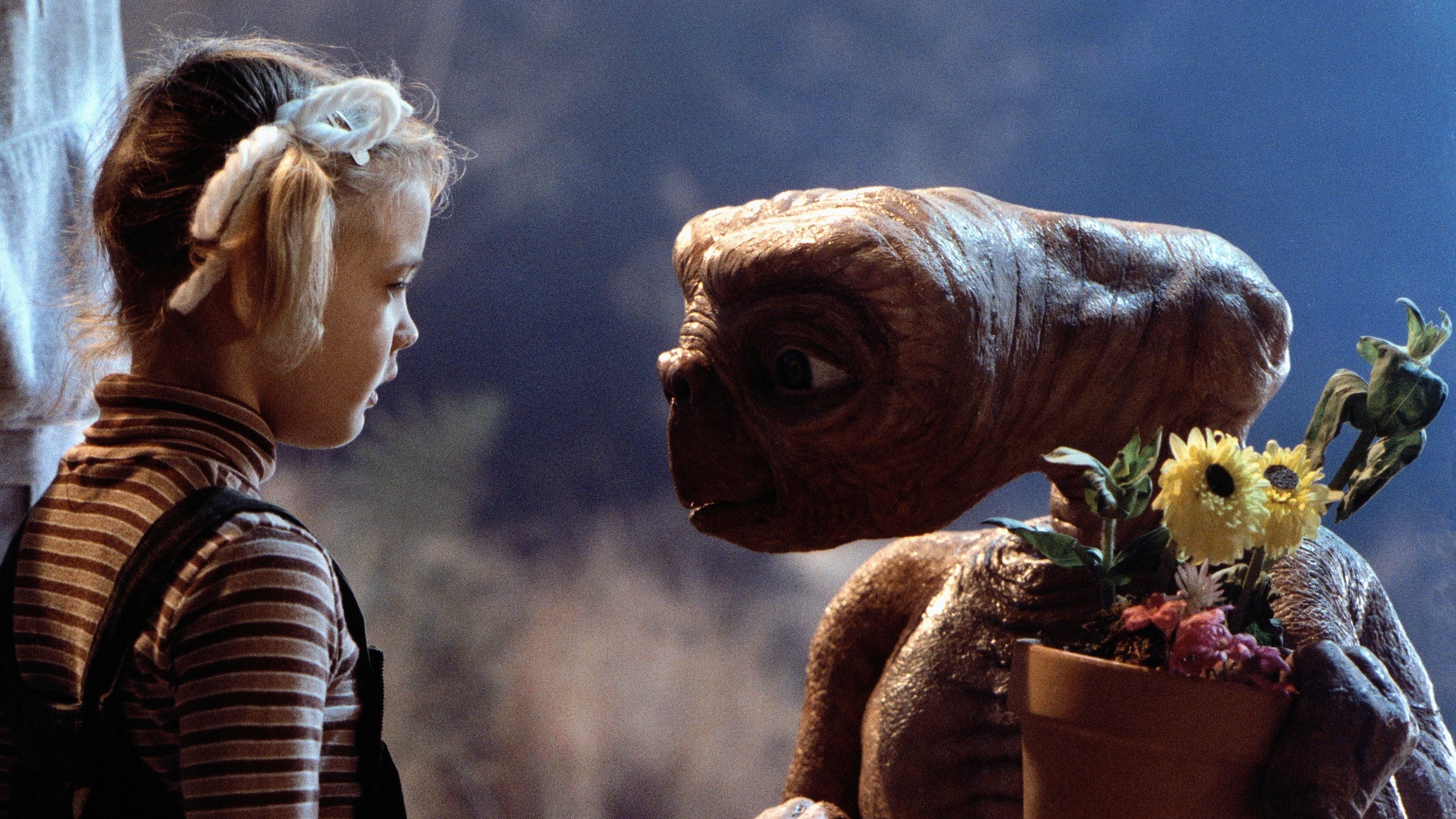 Image du film E.T. l'extraterrestre zlp6whch44zzg4afxqw8dmczubhjpg