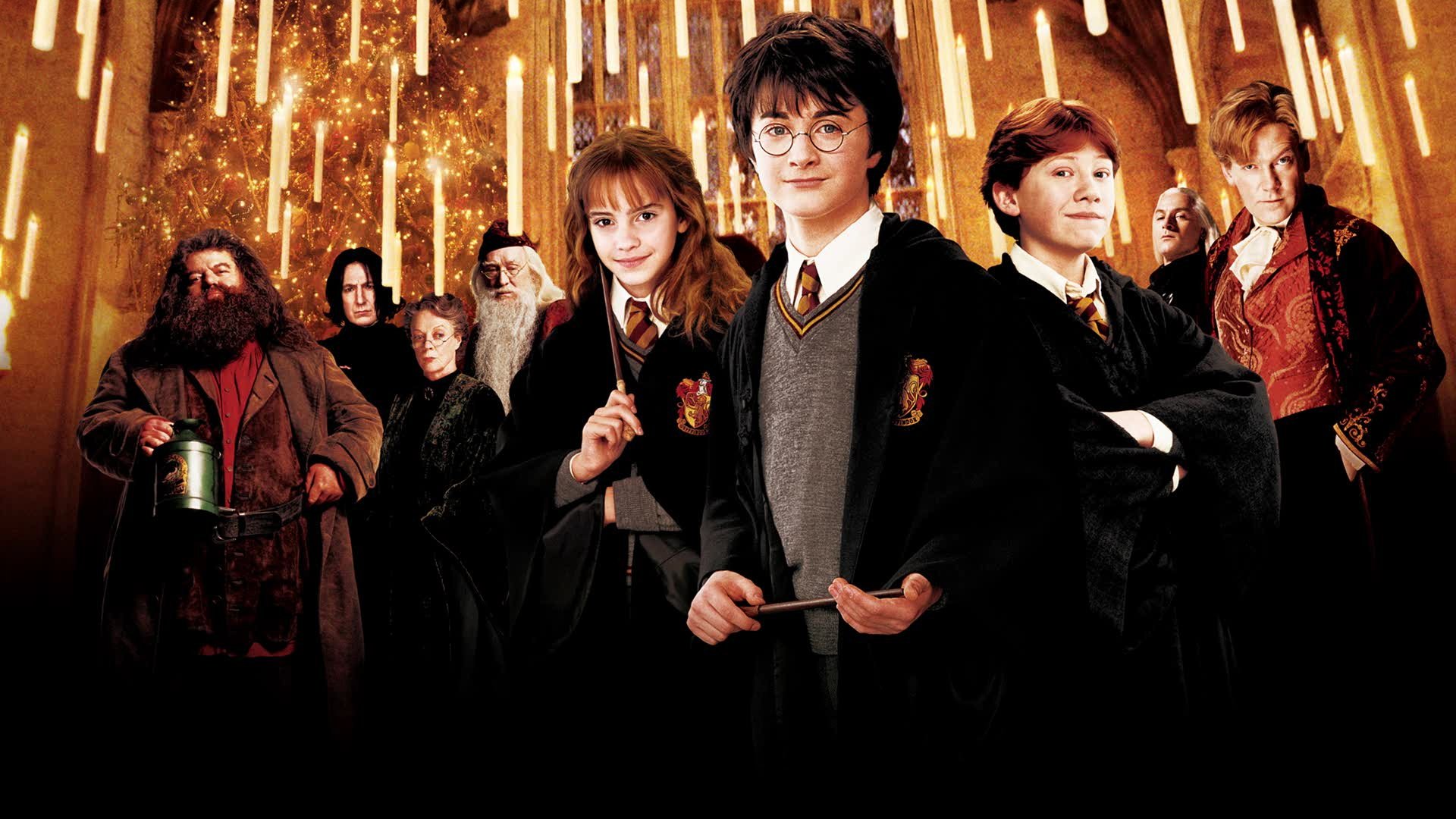 Harry Potter et la Chambre des secrets (2002)