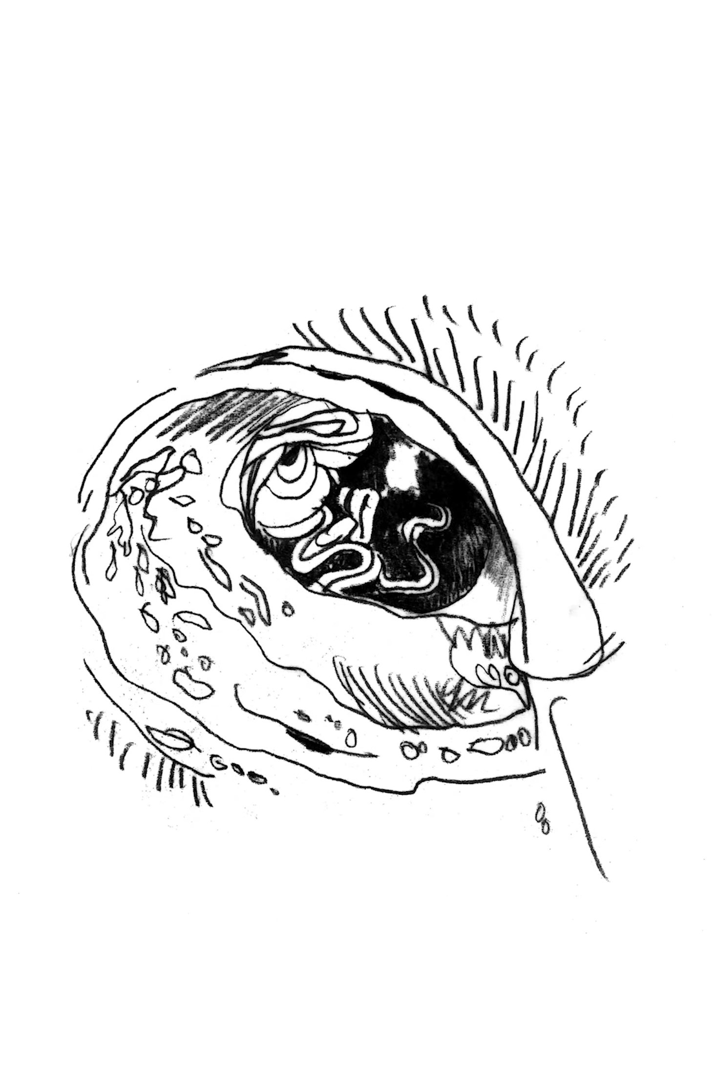 The Horizon Plays Itself Back Into Being