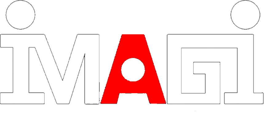 Imagi Animation Studios