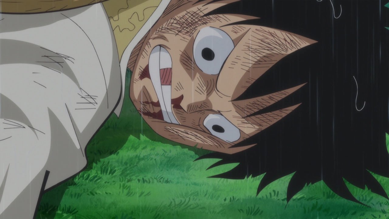 One Piece Staffel 19 :Folge 809 