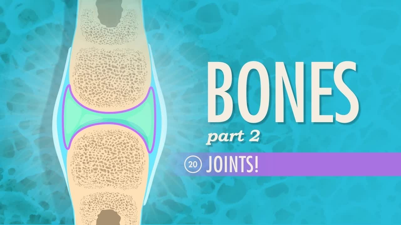 Episode 20