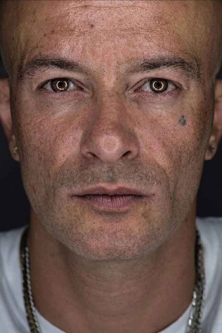 et billede af Chicoria