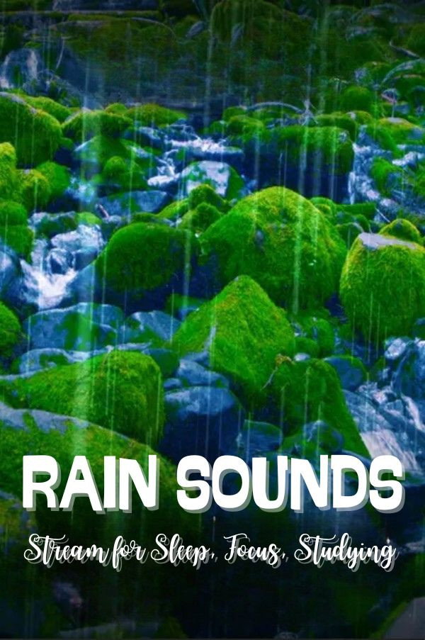 Rain Sounds Stream For Sleep Focus Studying Posters The Movie