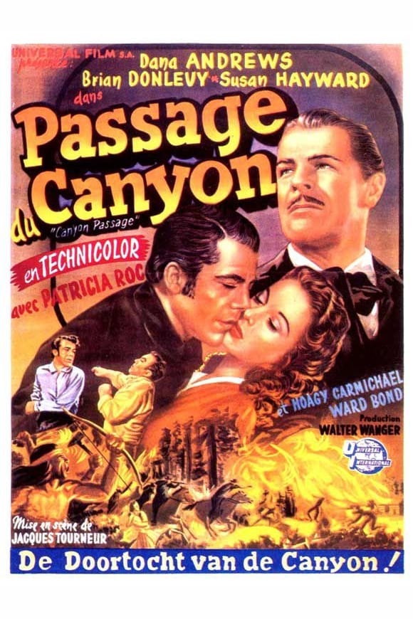 Affiche du film Le Passage du canyon 16650