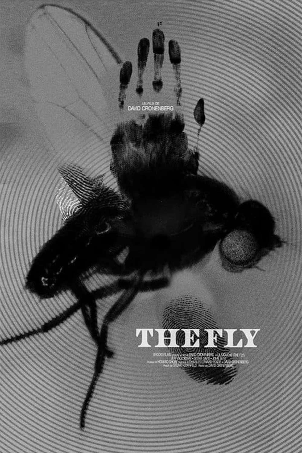 The Fly