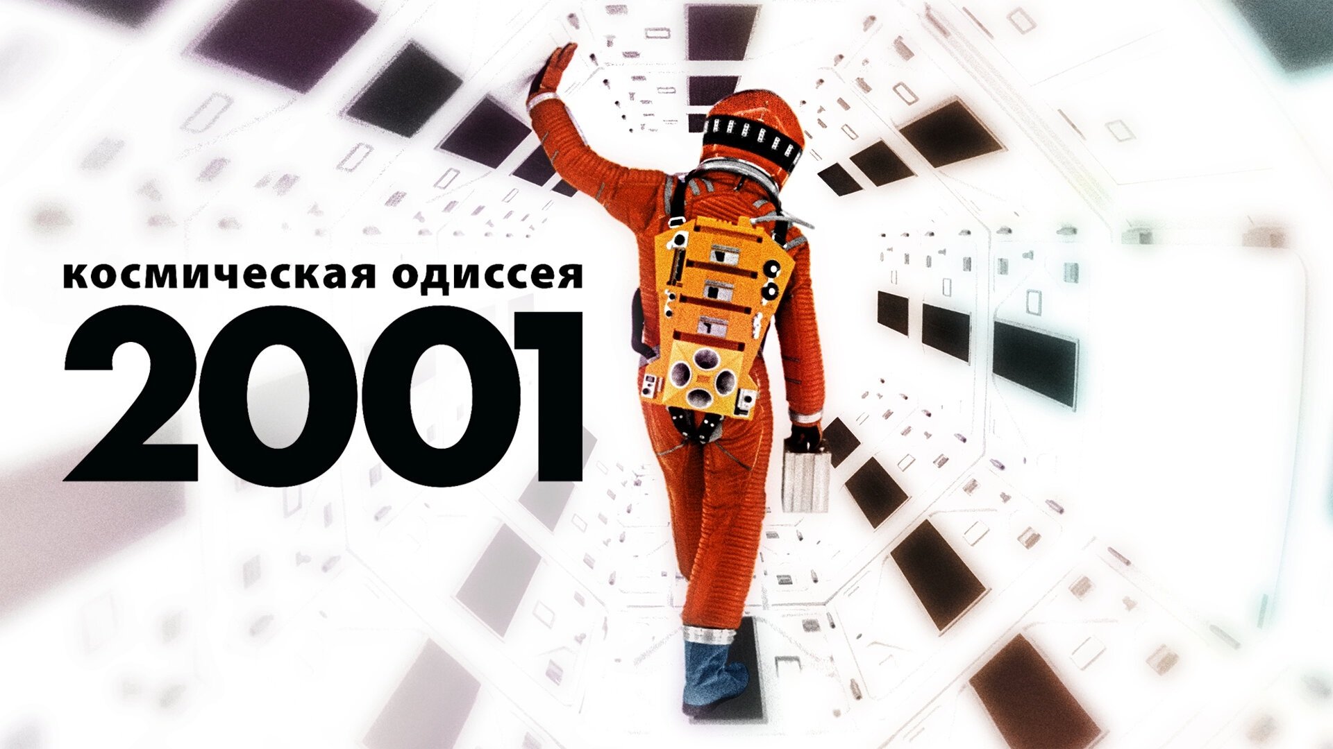 /zpQ82cqUuovAsl78pbKDKQgJn52.jpg