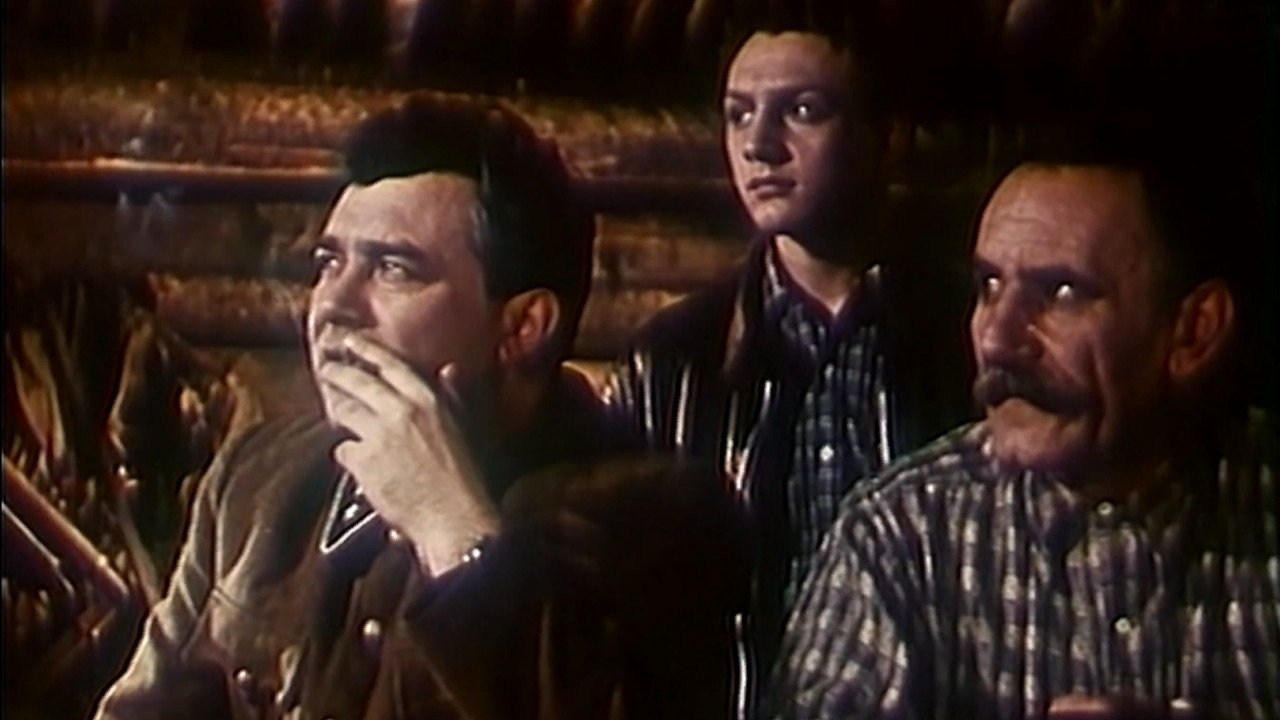 Missing Person (1957)