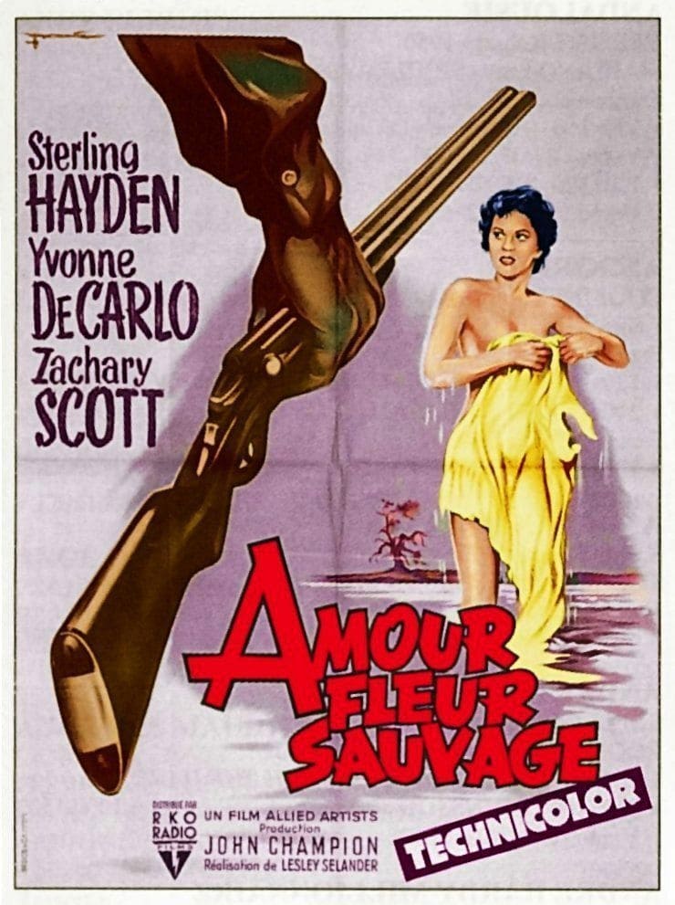 Affiche du film Amour, fleur sauvage 168285