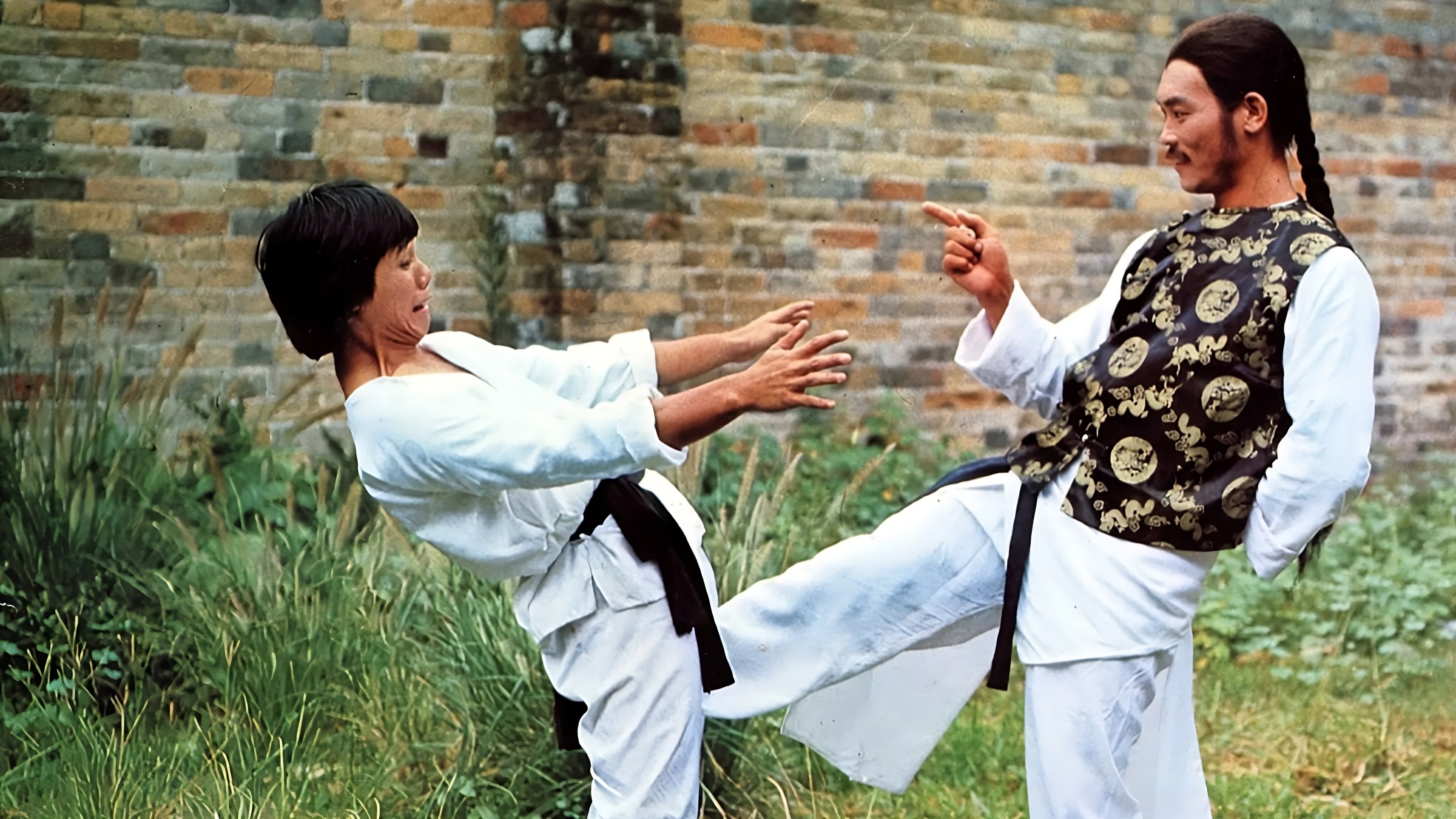 Dragon's Claws (1979)