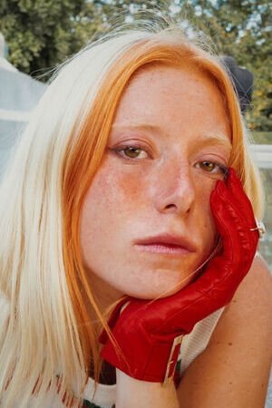 et billede af Malva Vela