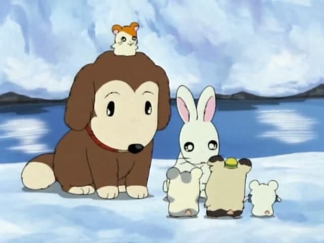 Hamtaro