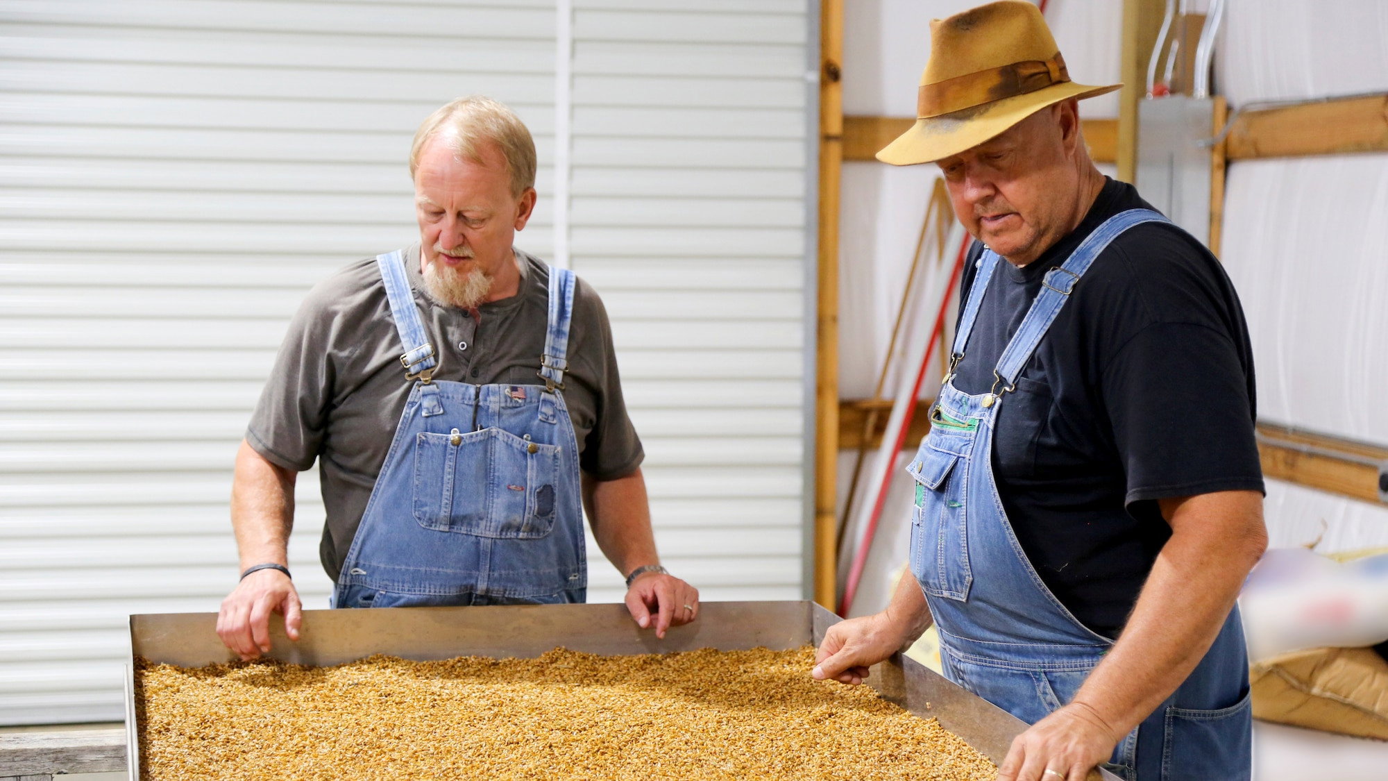 The Weevils in the Details still