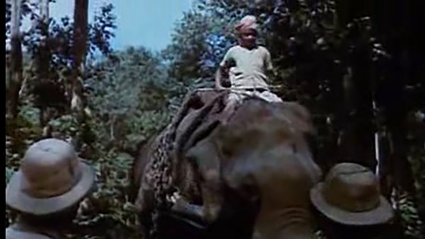 Black Mountain (1971)