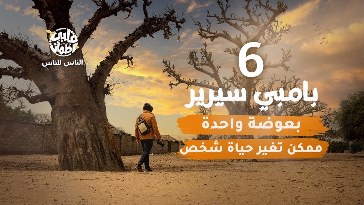 قلبي اطمأن Staffel 6 :Folge 6 