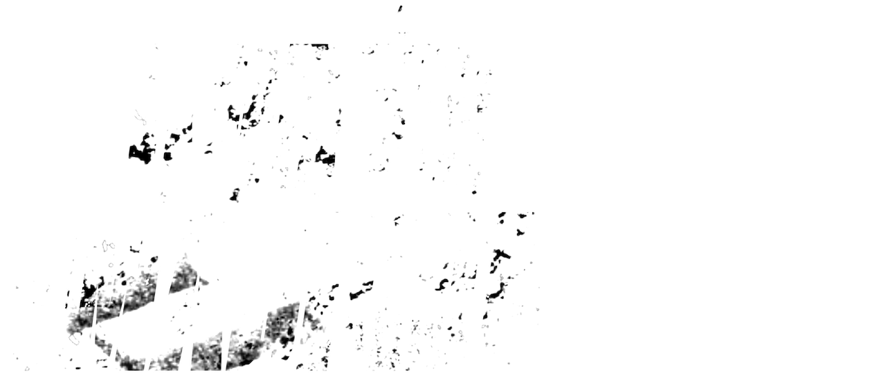 Kurýr z Madridu