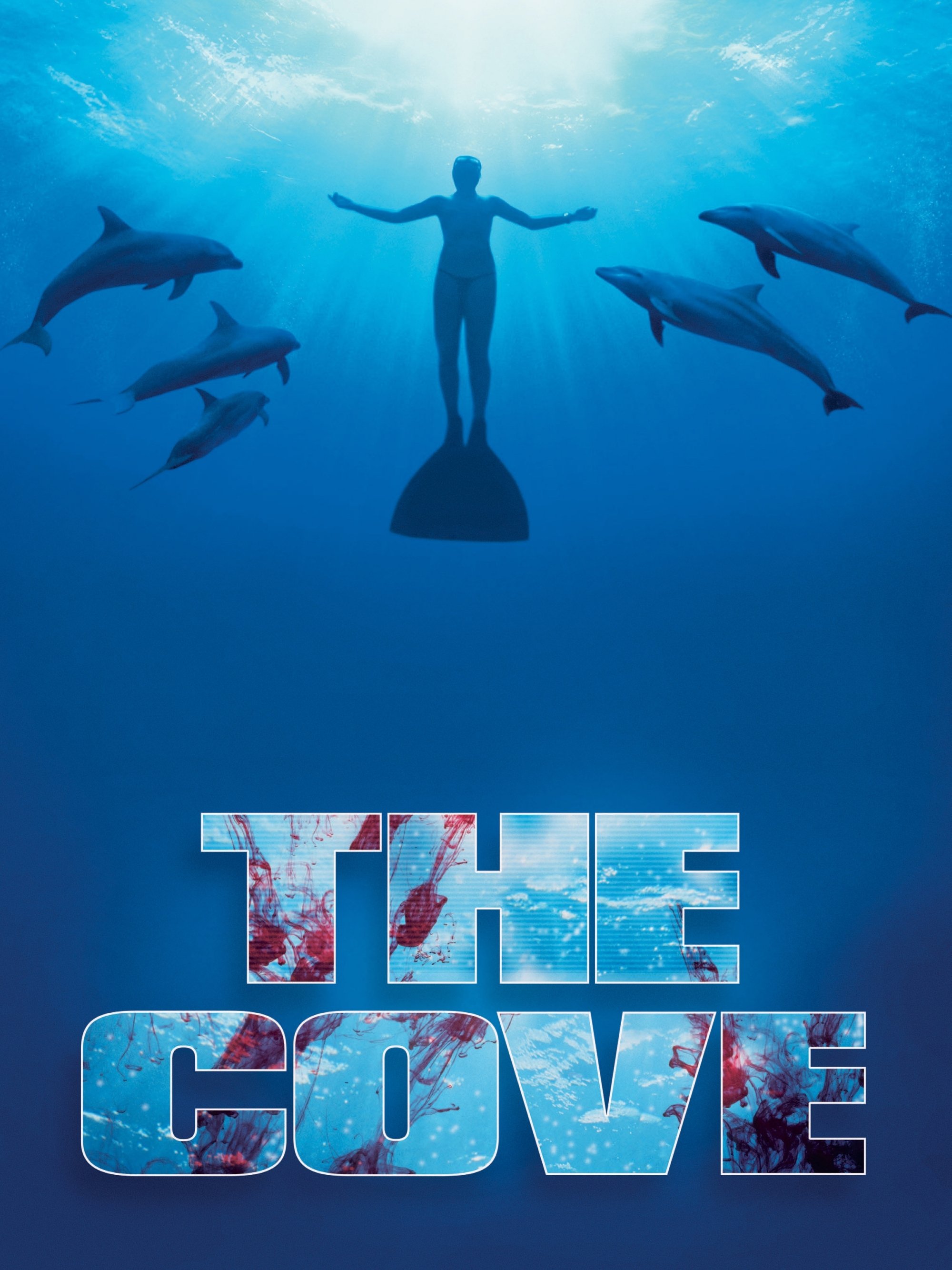 The Cove